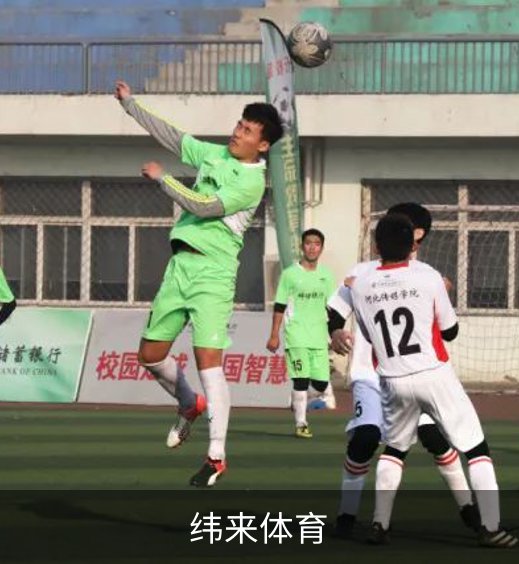 关于纬来体育